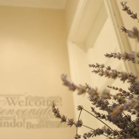 아파트 San Giuseppe 로브란